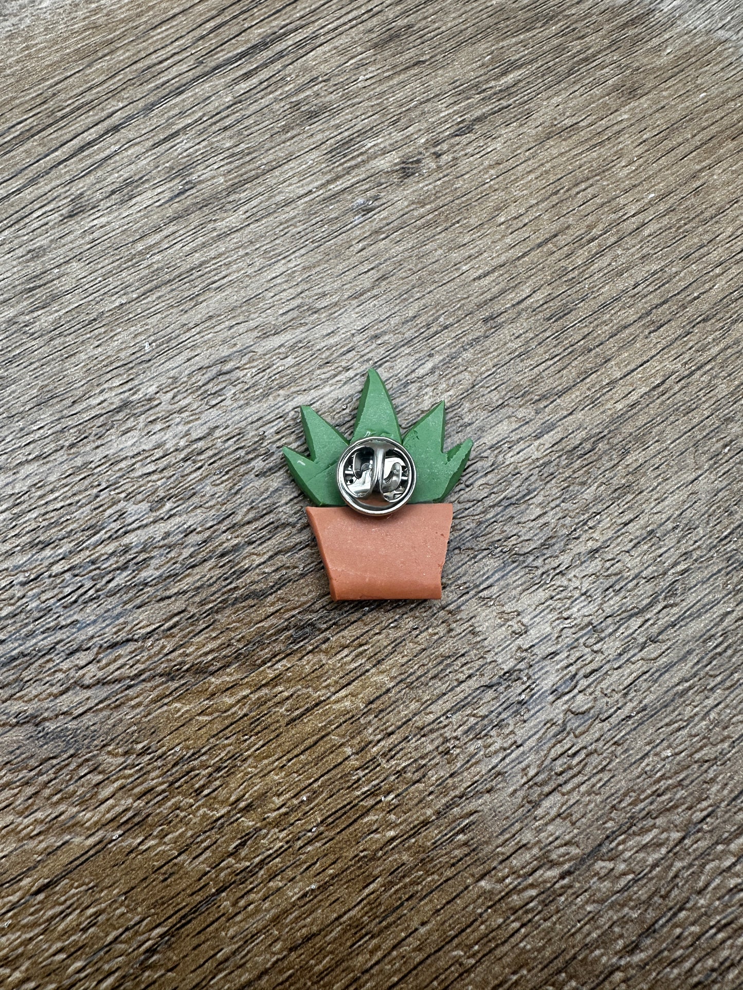 Potted Aloe Pin