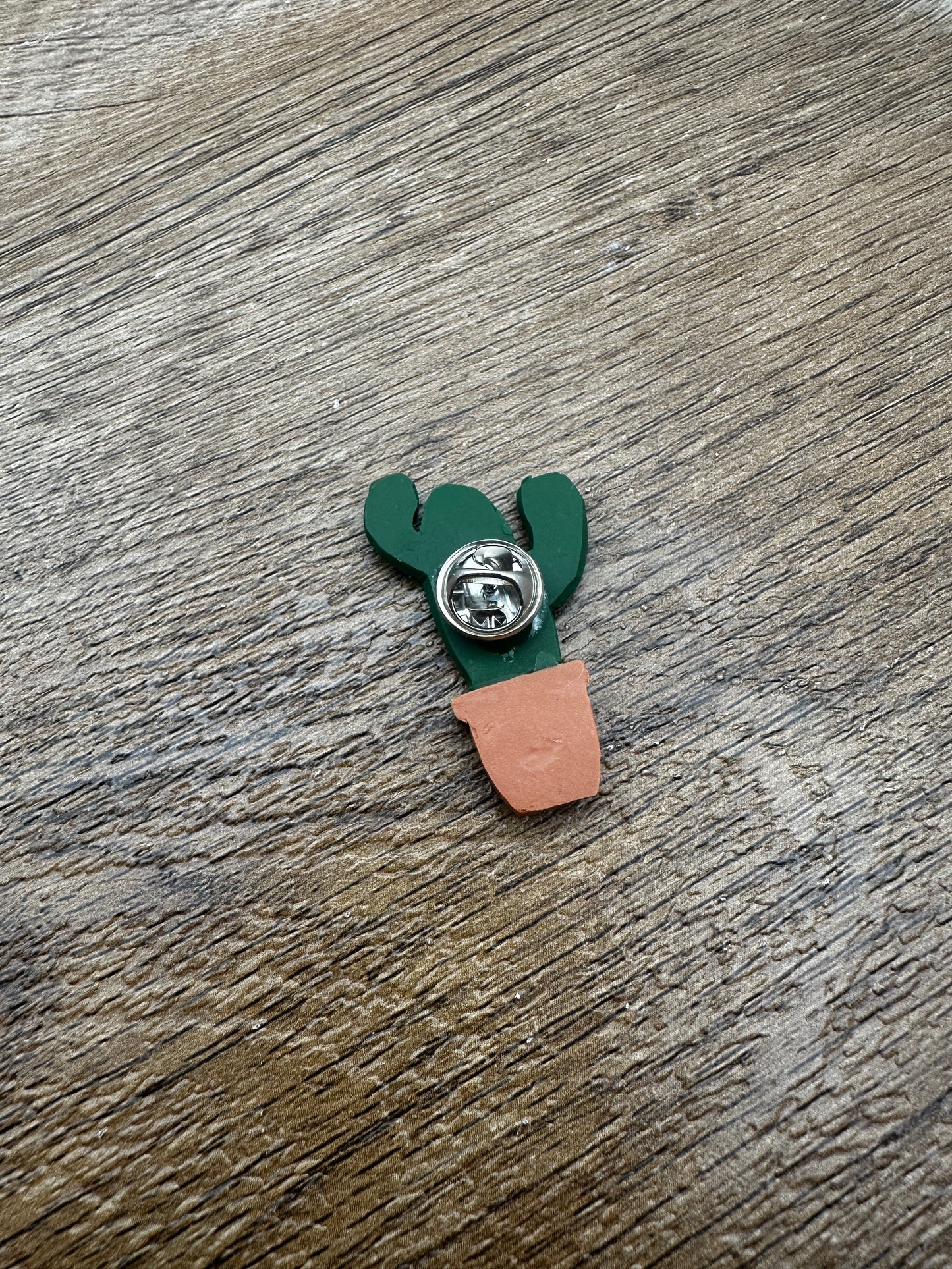 Potted Cactus Pin