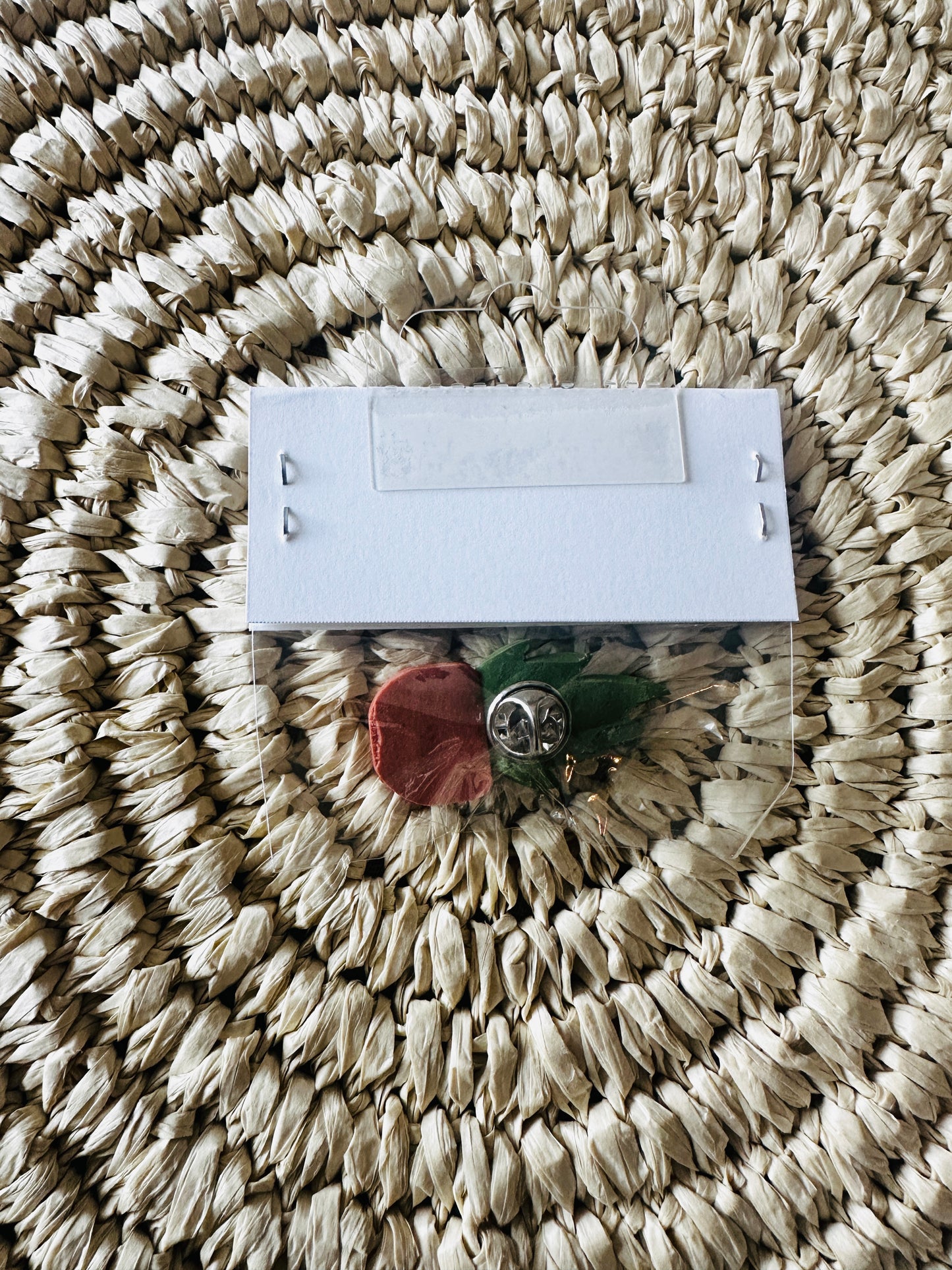 Potted Succulent Pin