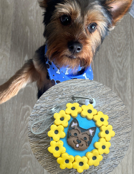 Custom Dog ID Badge Reel