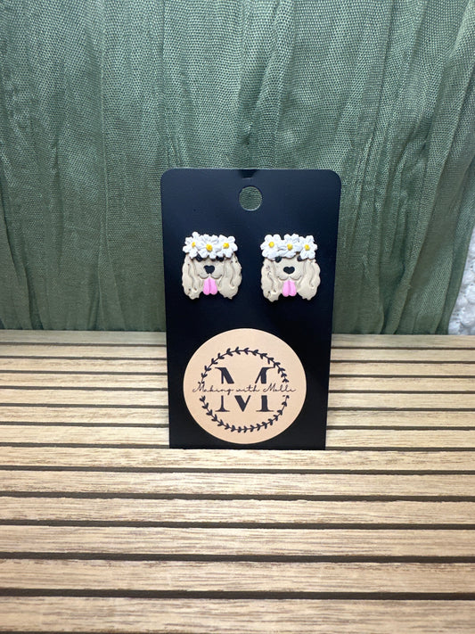 Golden Retriever Studs