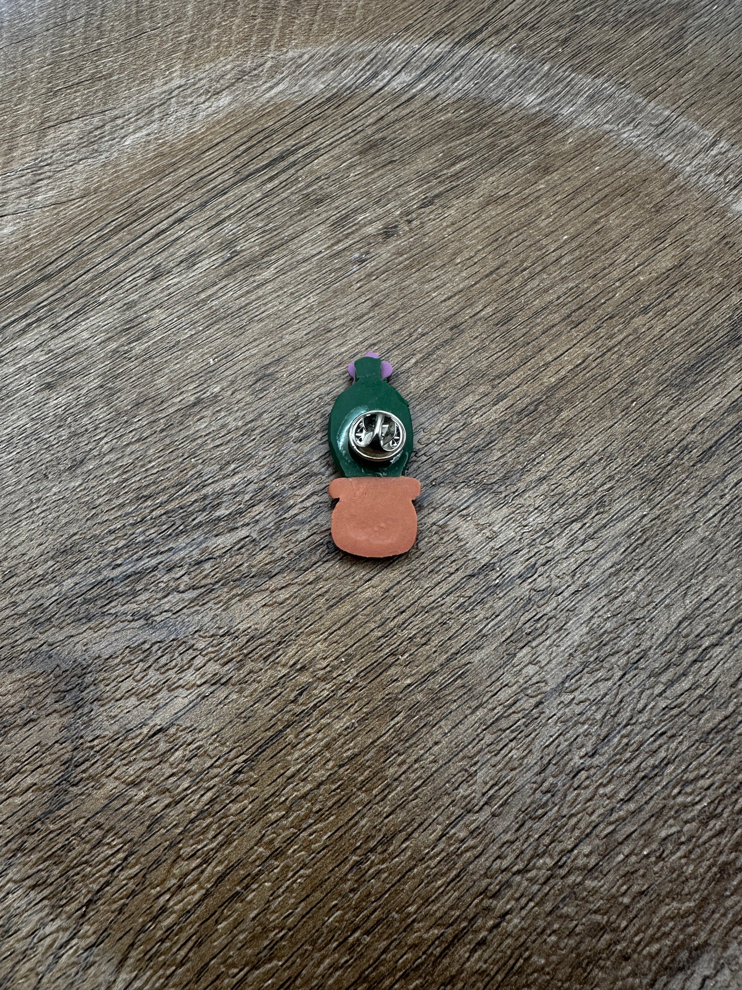 Potted Flower Cactus Pin