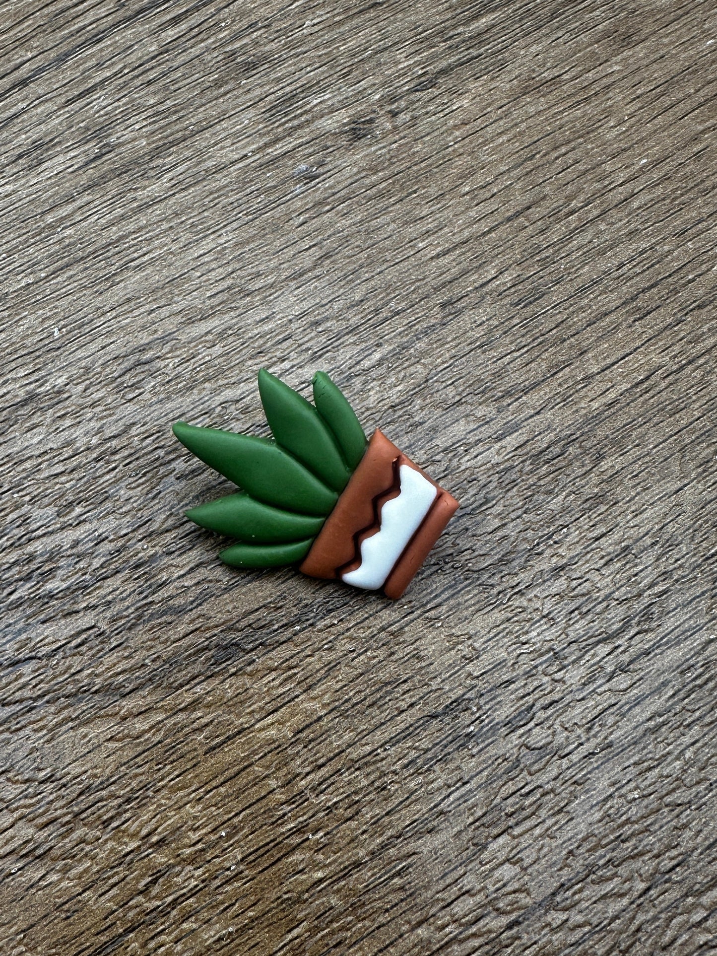 Potted Aloe Pin