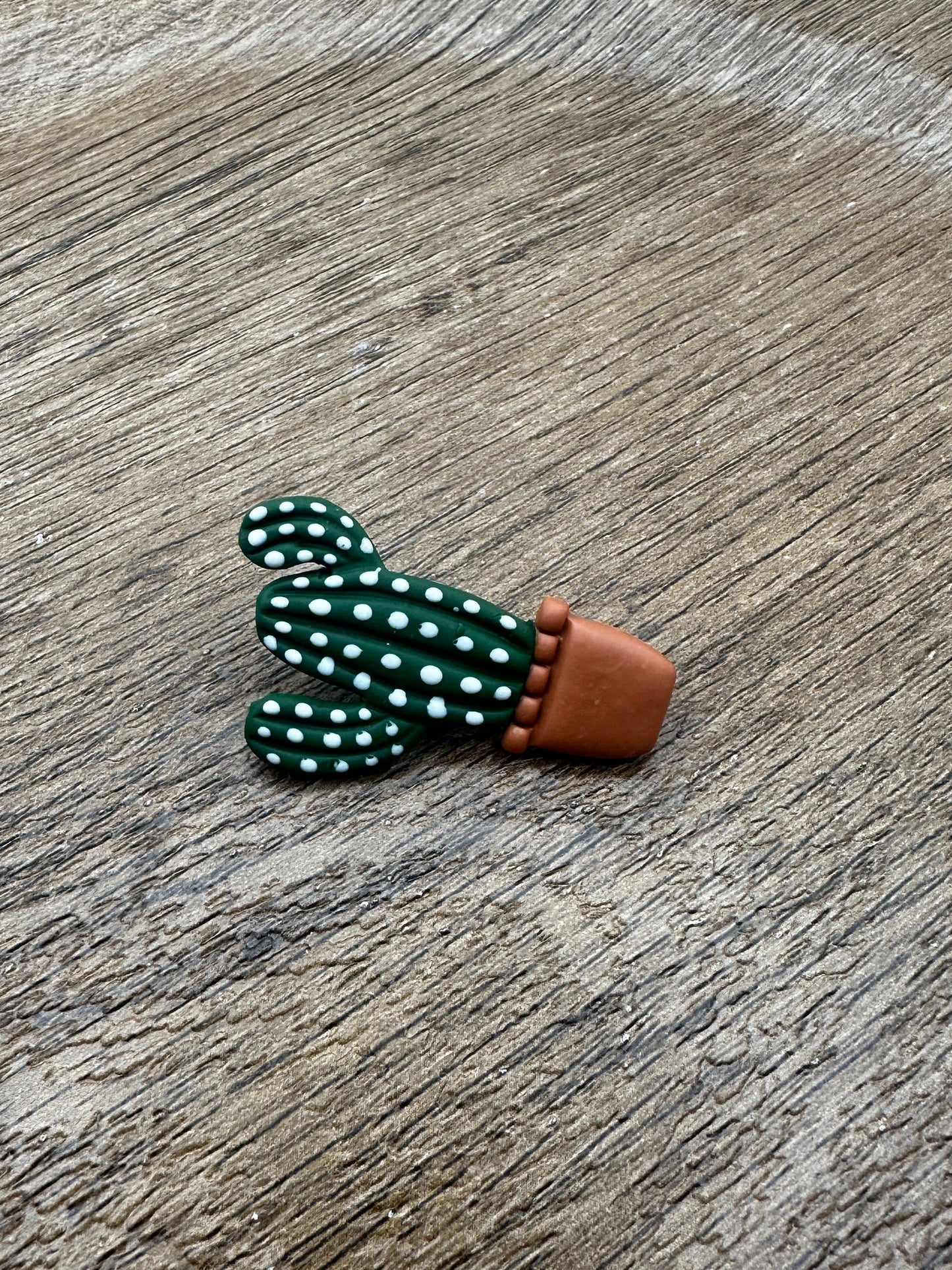 Potted Cactus Pin