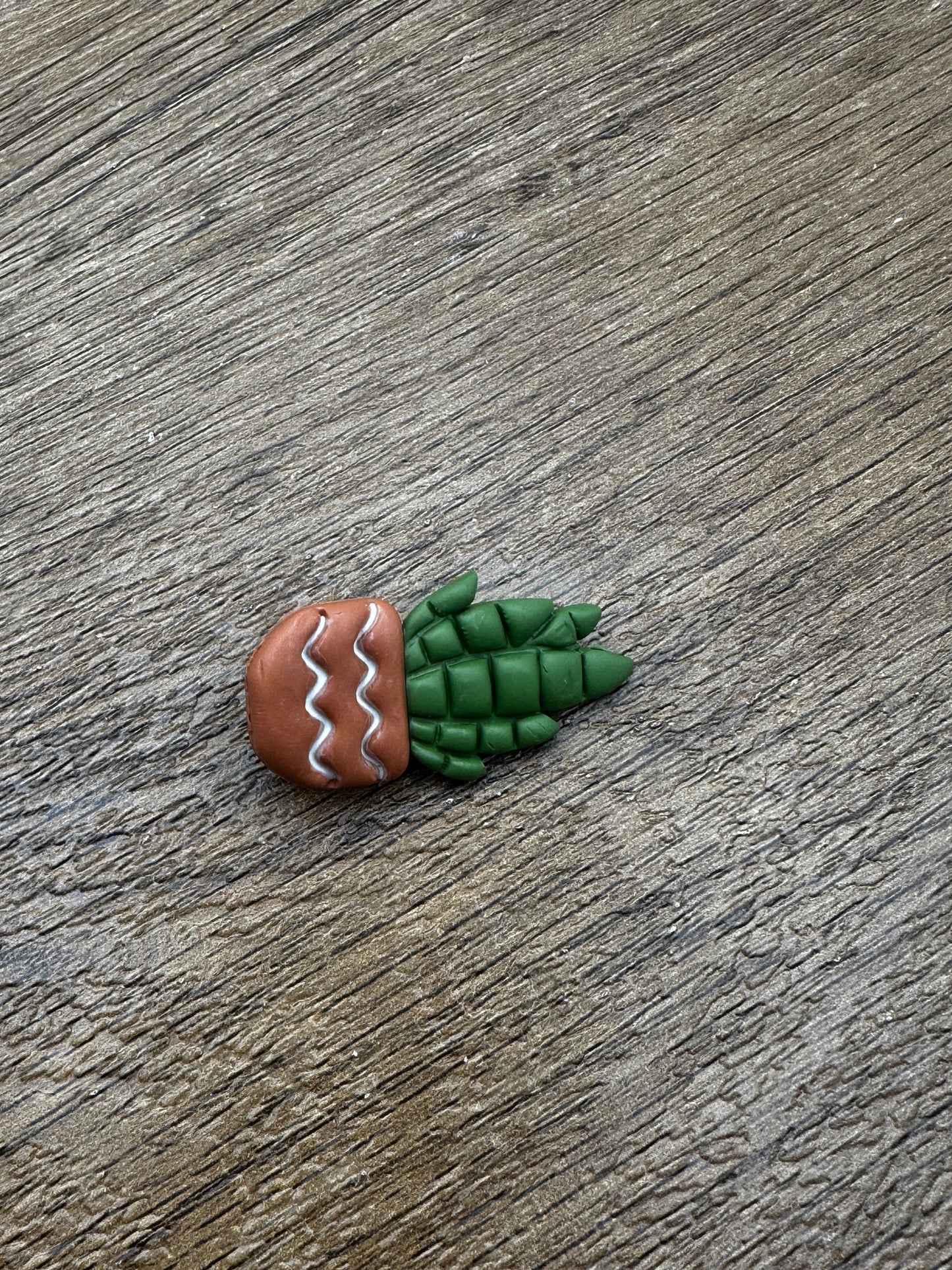 Potted Succulent Pin