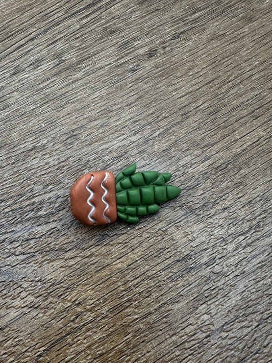 Potted Succulent Pin