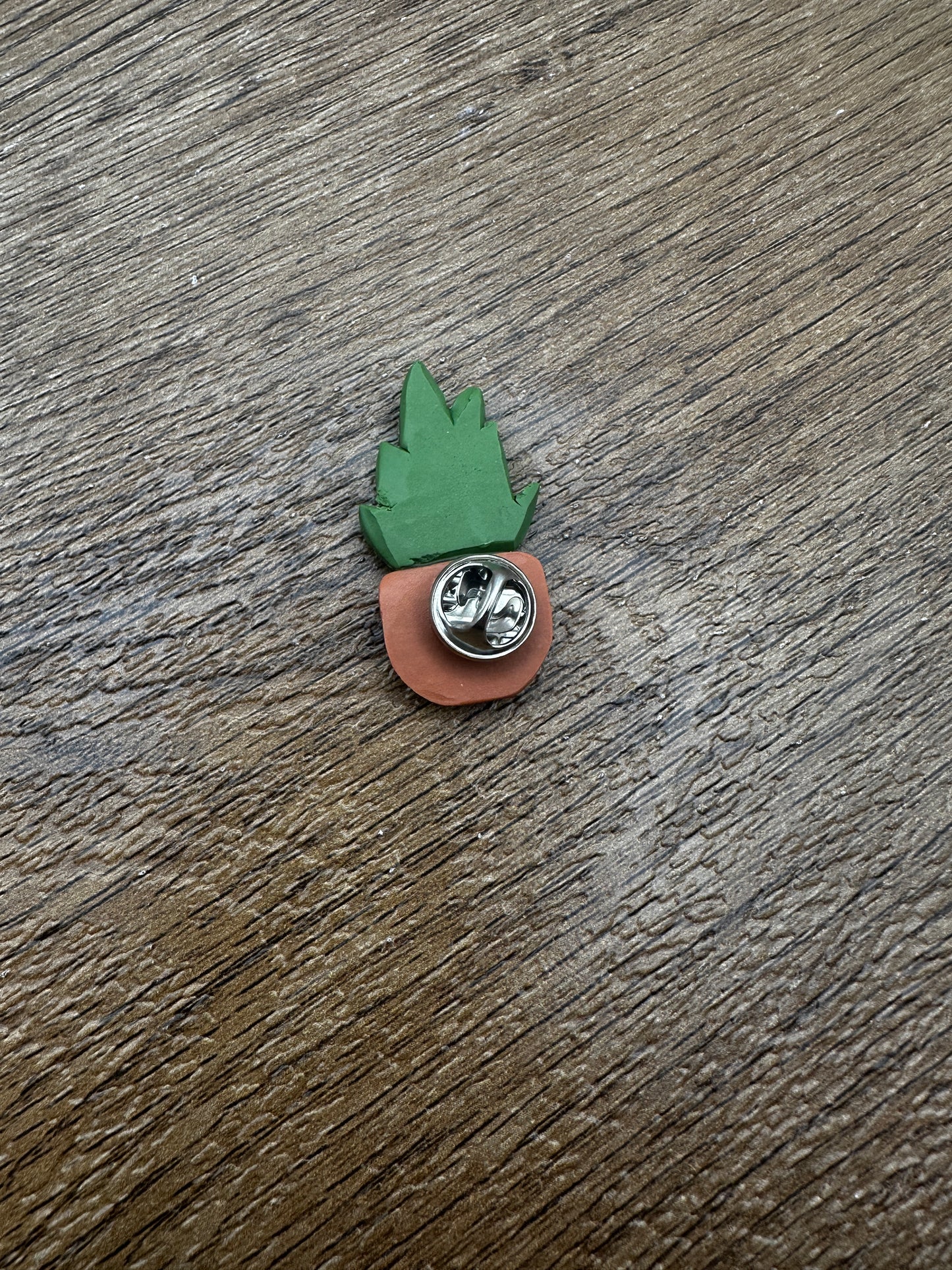Potted Succulent Pin