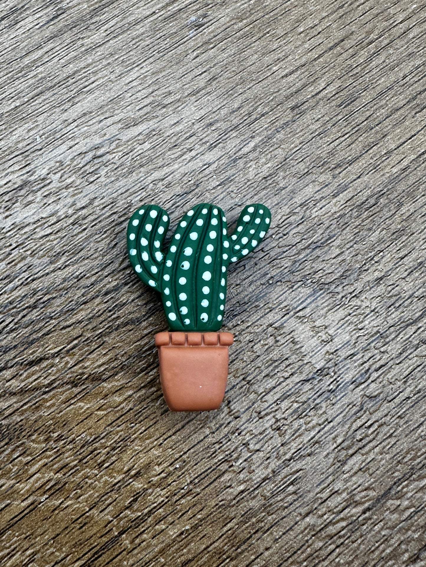 Potted Cactus Magnet