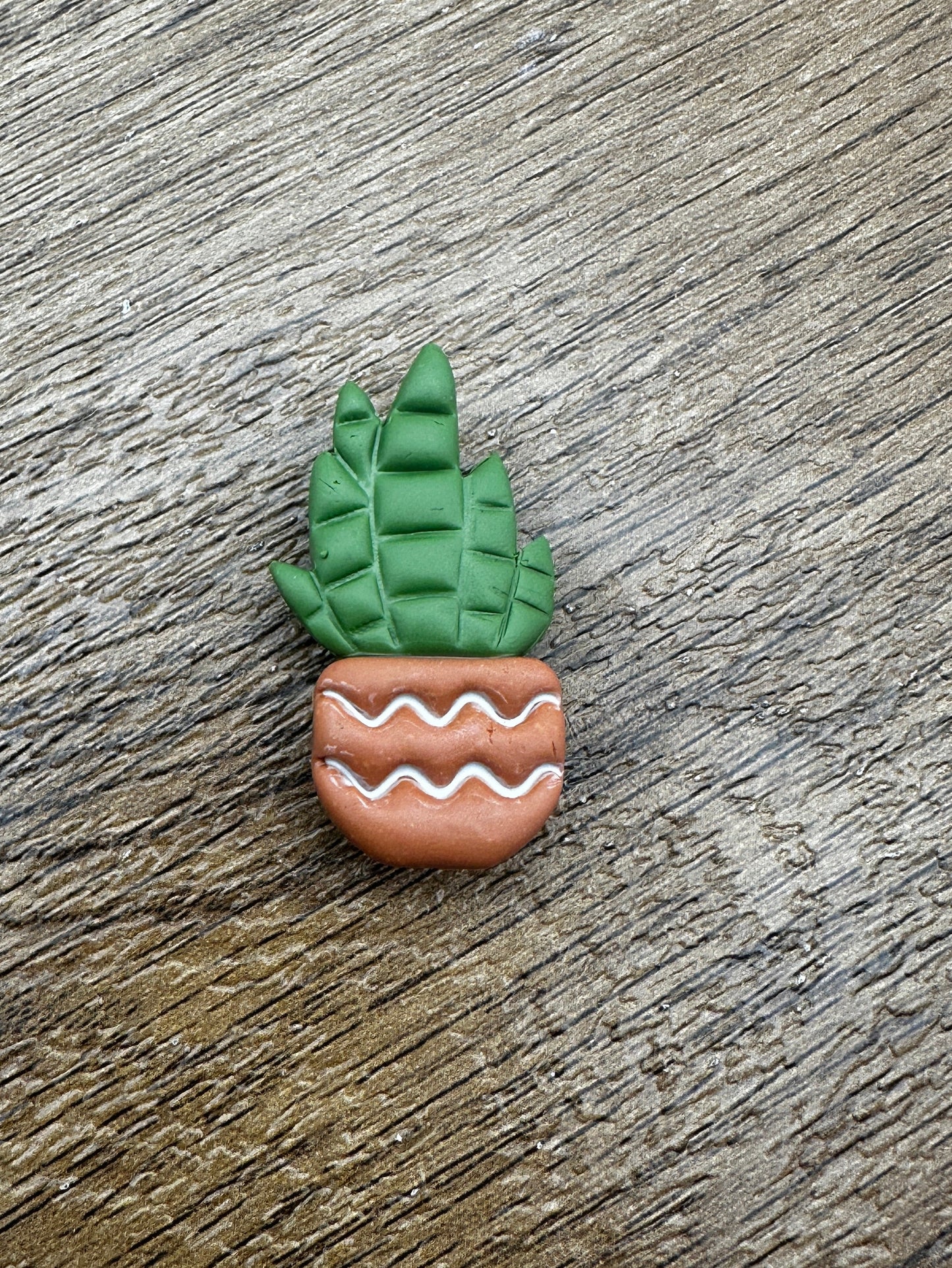 Potted Succulent Magnet