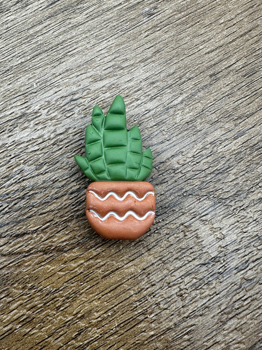 Potted Succulent Magnet