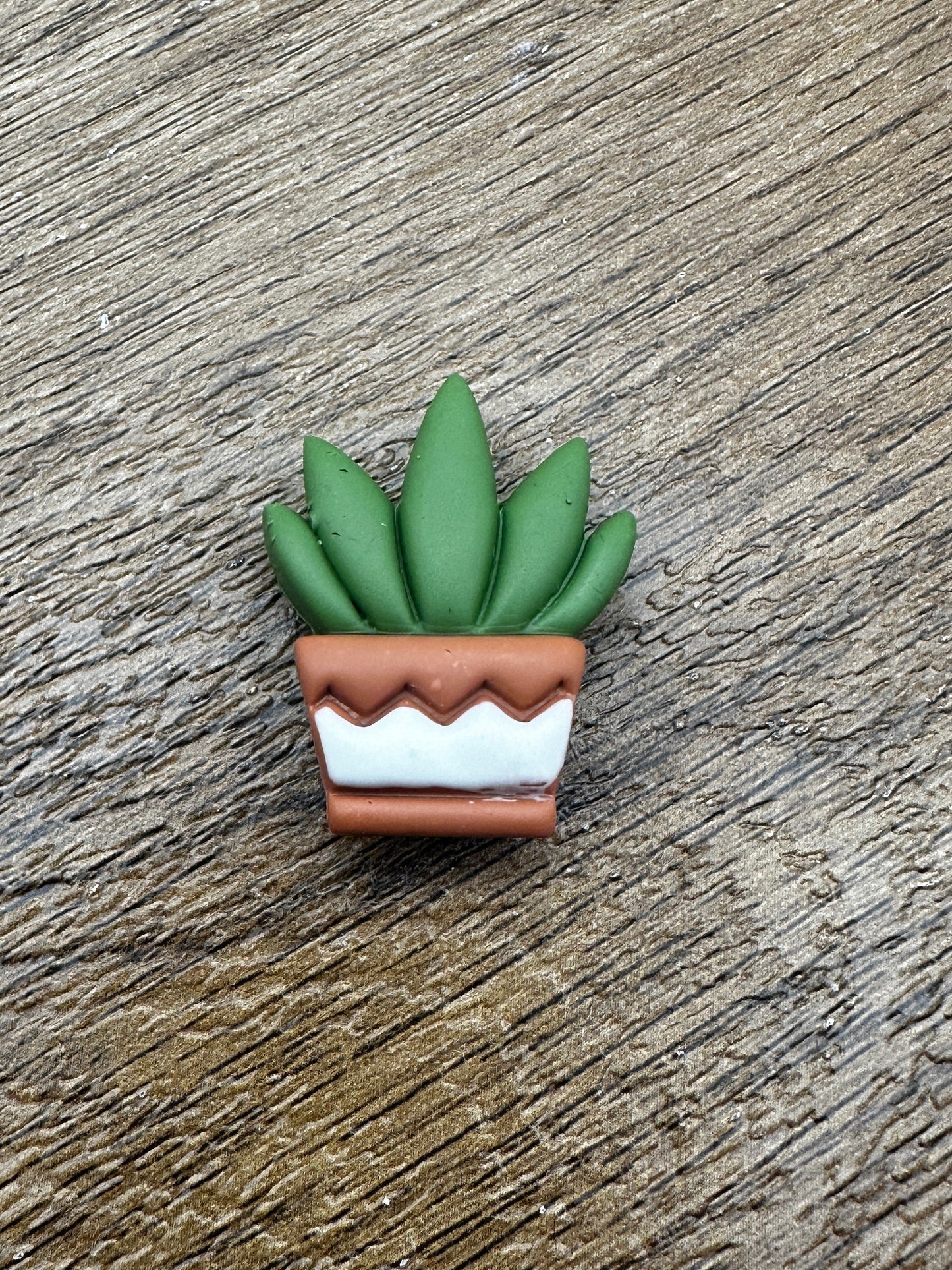 Potted Aloe Magnet