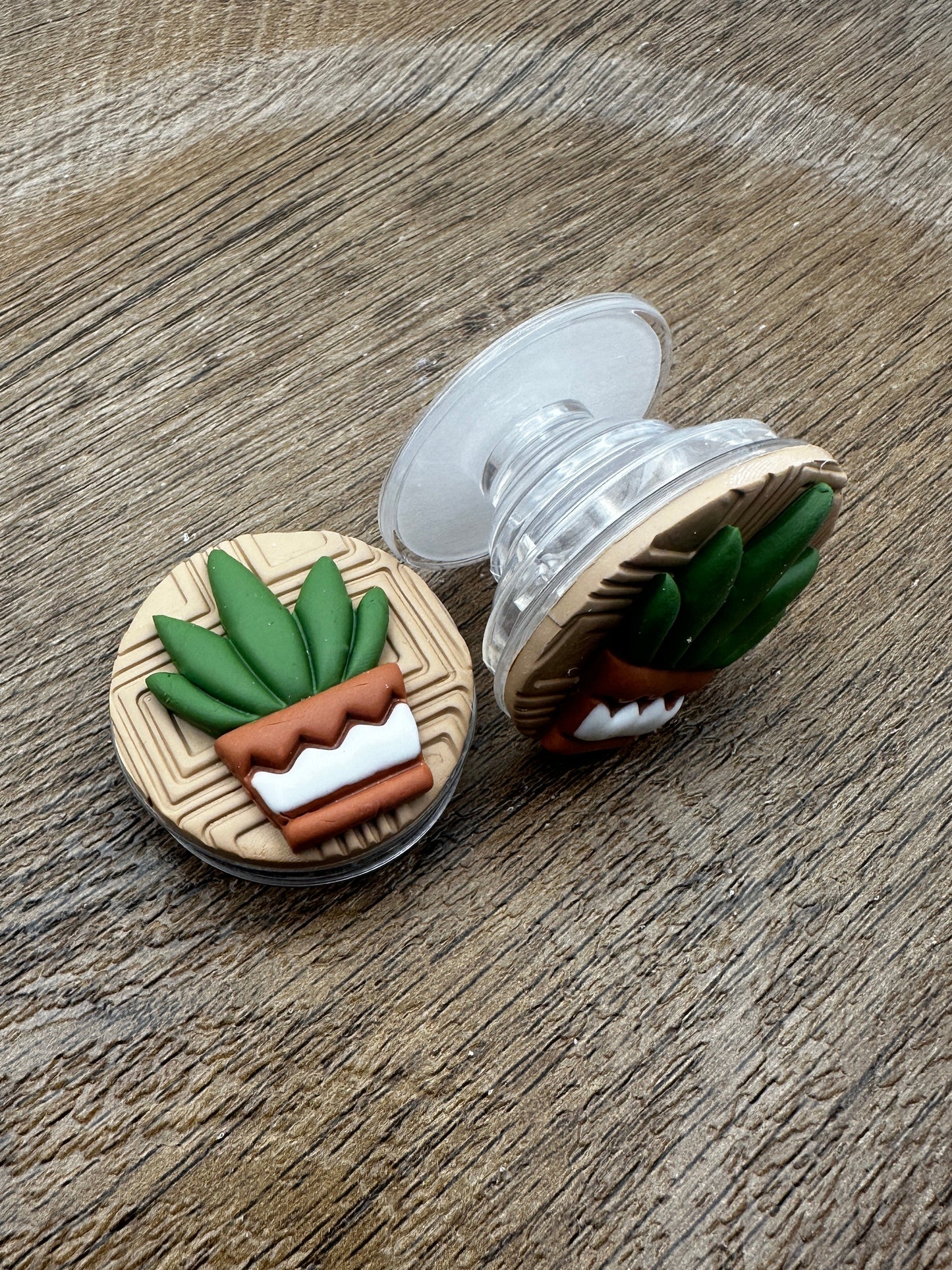 Potted Aloe Phone Grip