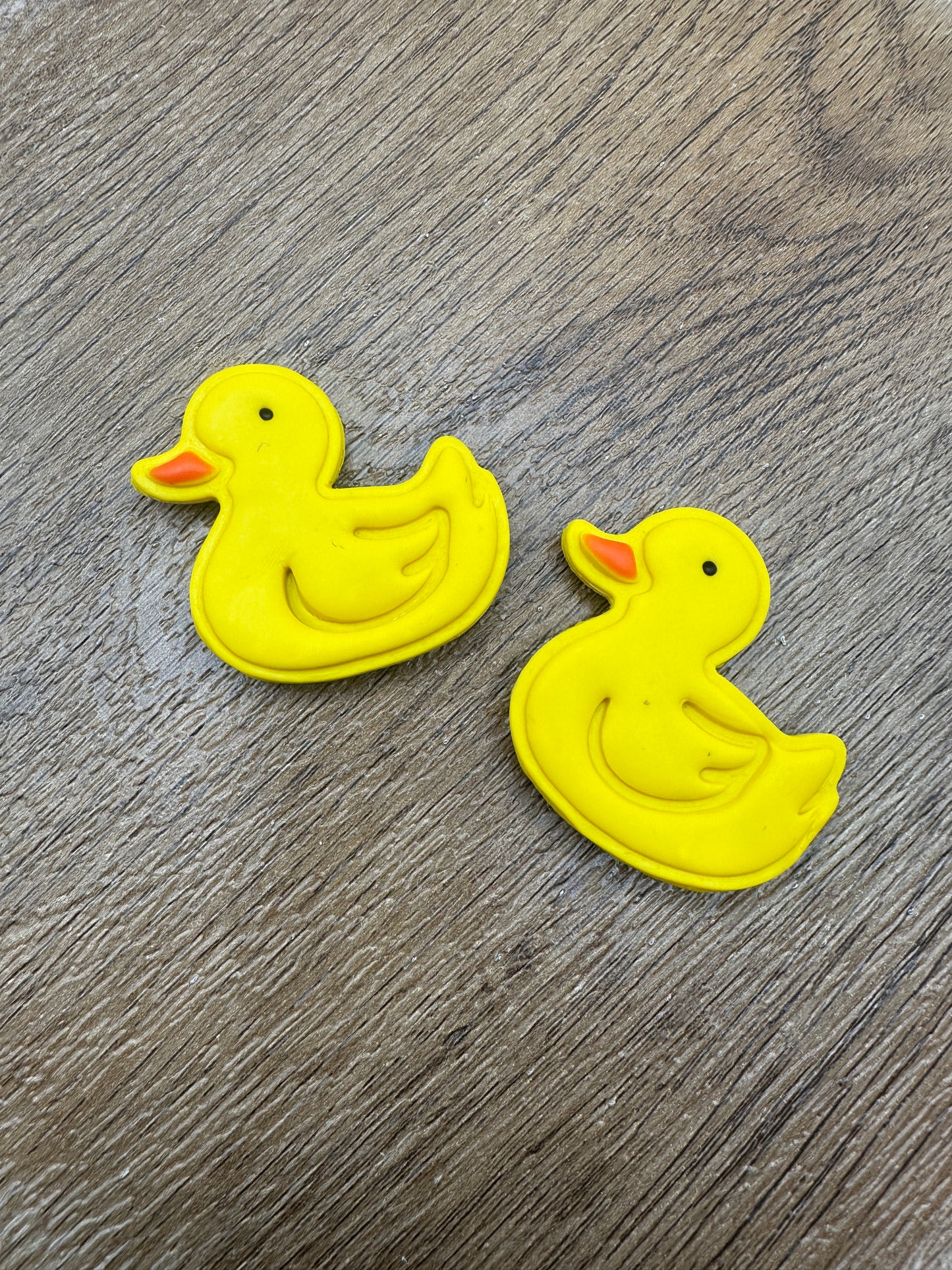 Duck Magnet