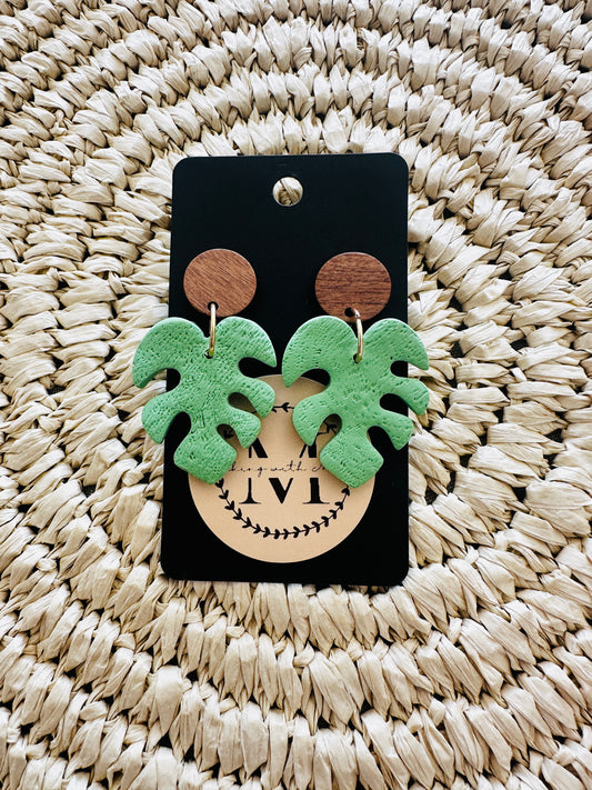 Monstera Dangles