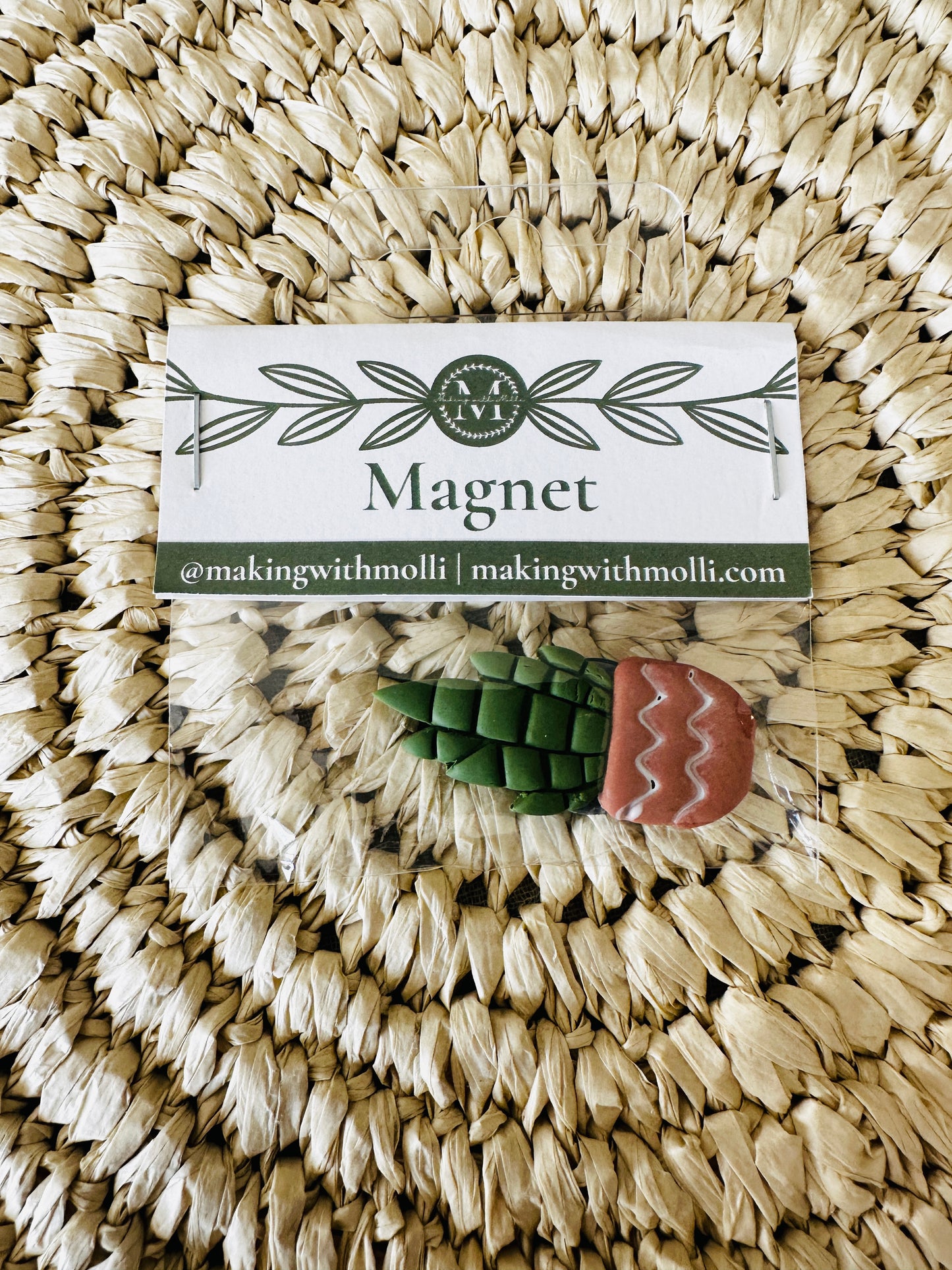 Potted Succulent Magnet