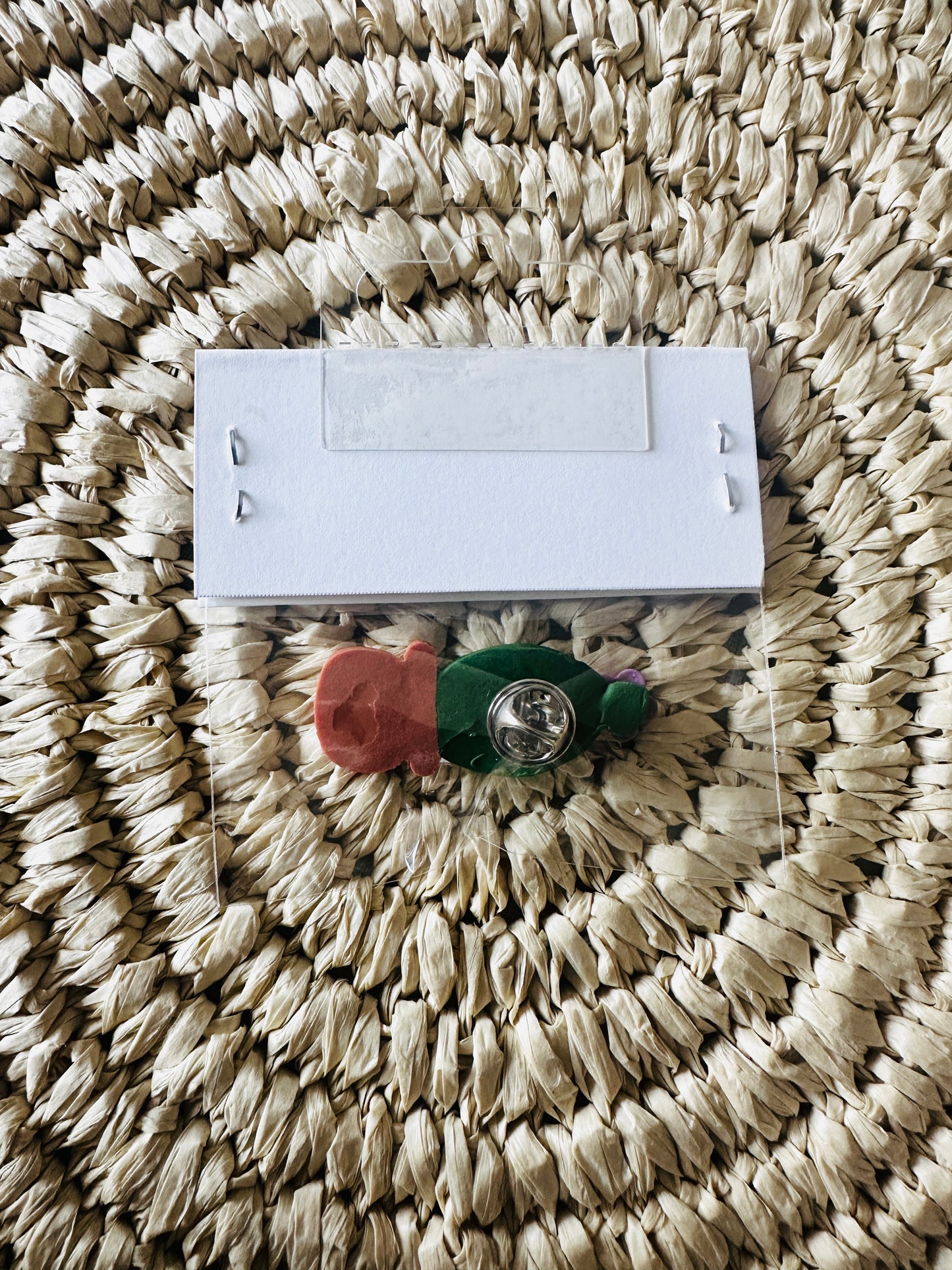 Potted Flower Cactus Pin