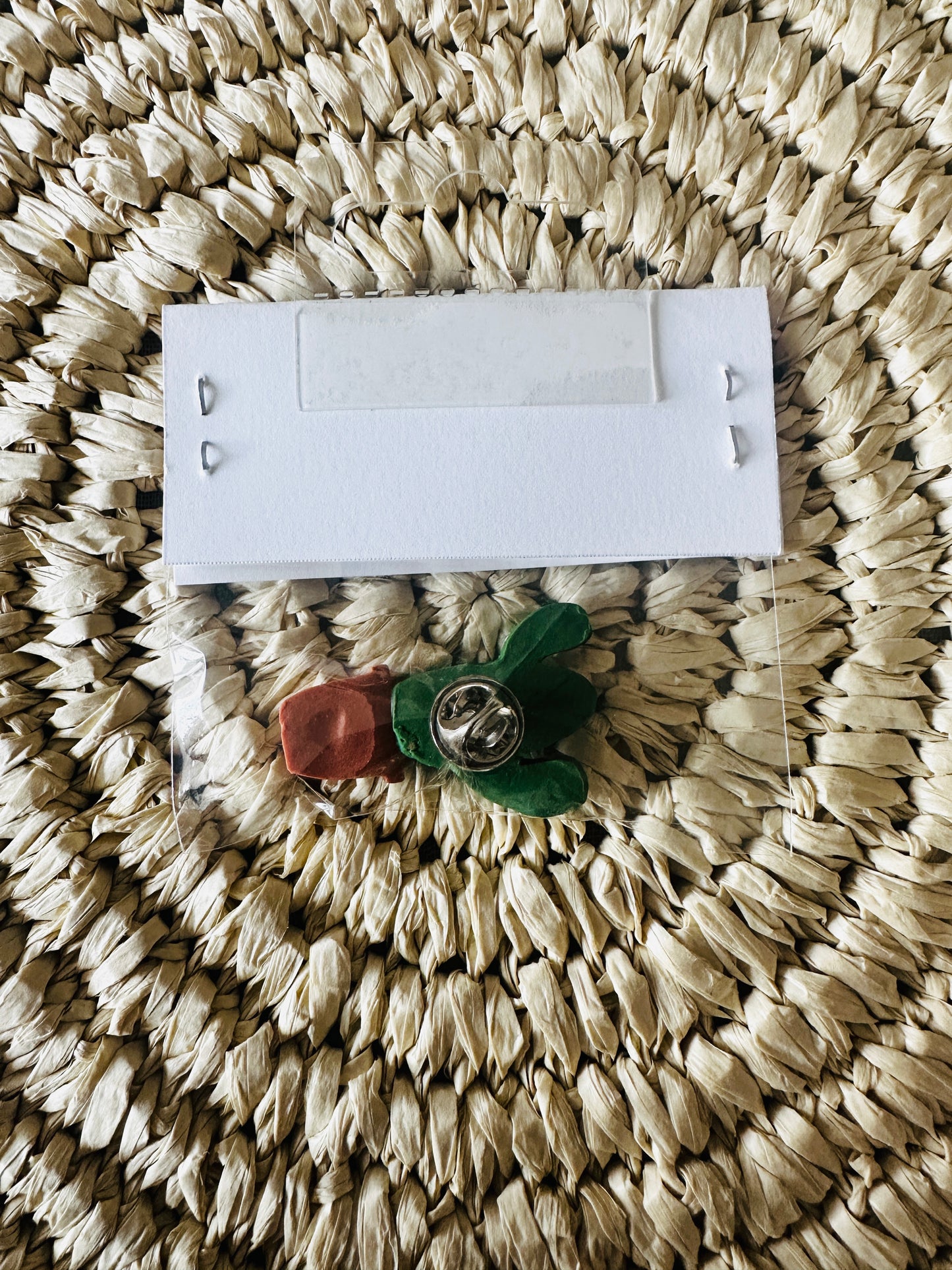 Potted Cactus Pin
