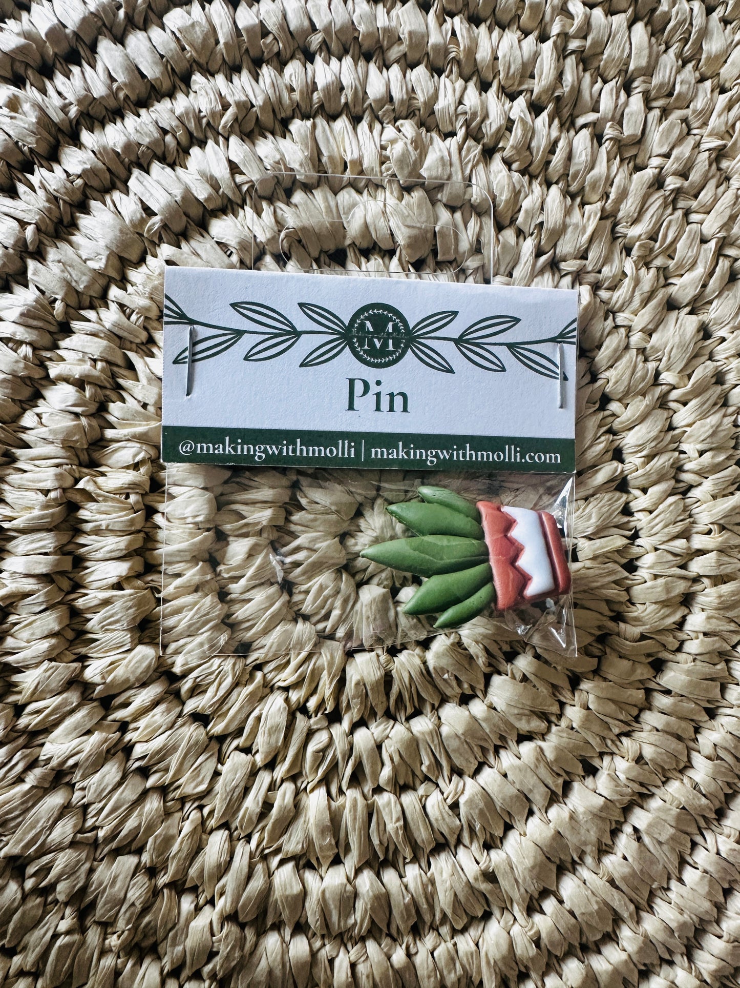 Potted Aloe Pin