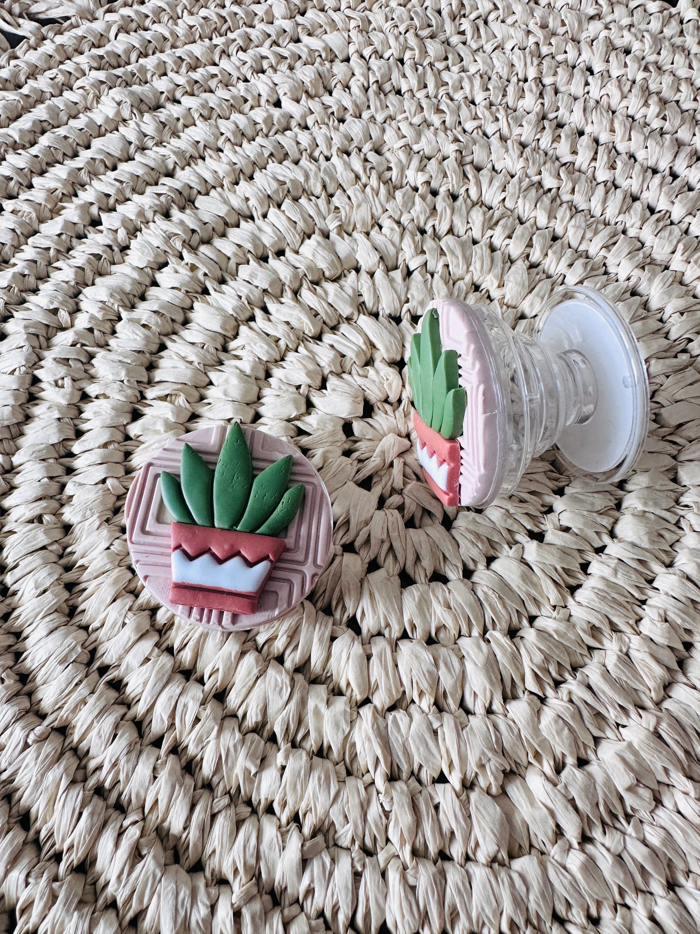 Potted Aloe Phone Grip