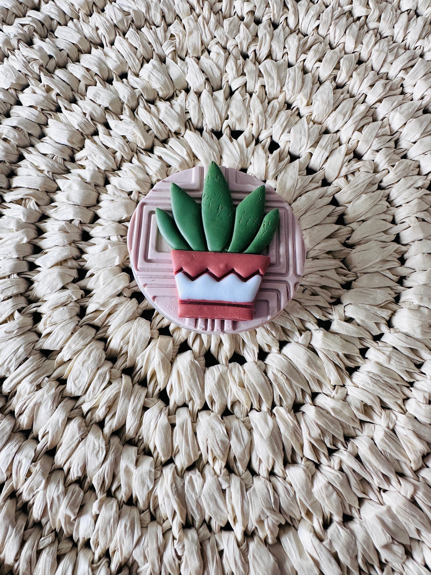 Potted Aloe Phone Grip