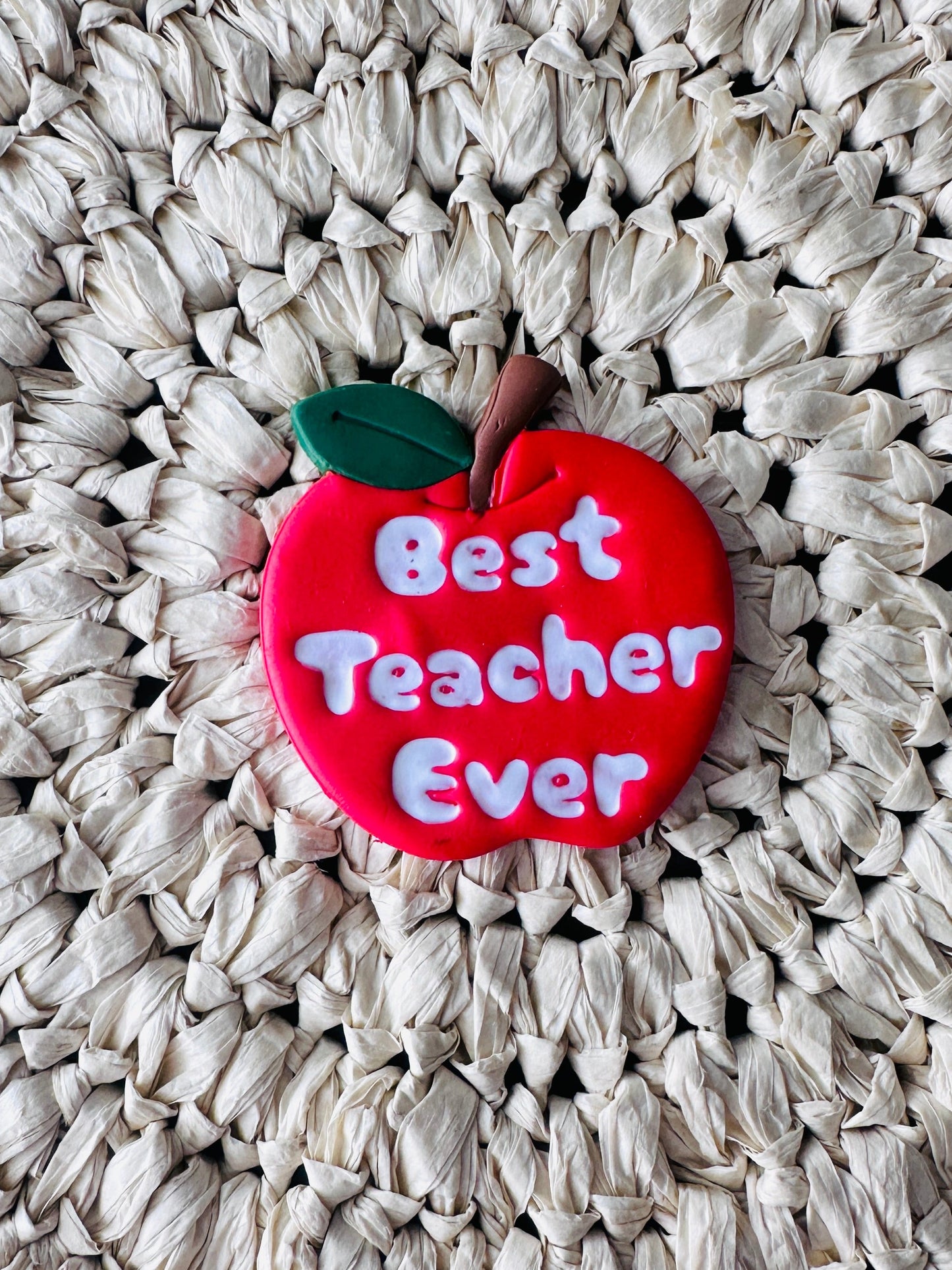 Best Teacher Ever Magnet
